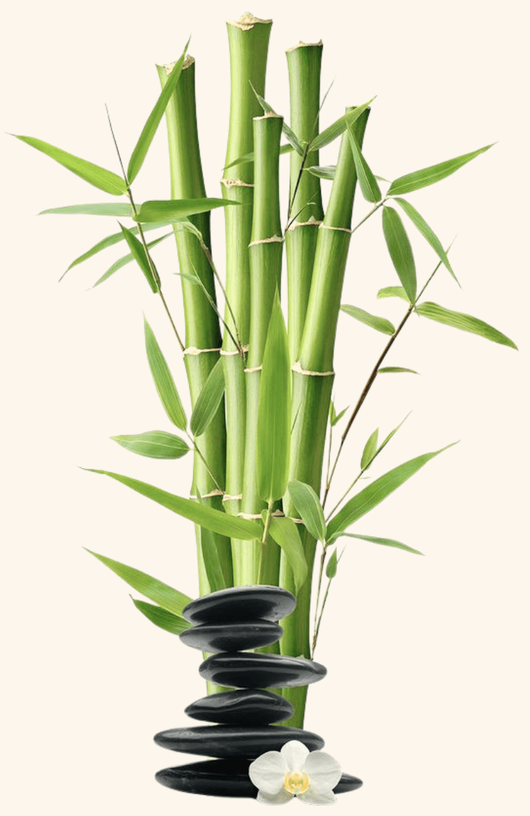 Iogurte de morango